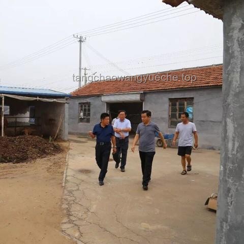 山东乡村振兴新典范：楼房分配背后的产业与民生融合探索